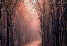 九游体育：过去三个赛季亚历山大取得145场胜利，而快船仅有135场.