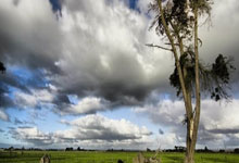 中国代表团出征第12届世界冬季特奥会新华网.