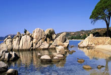 九游体育：[天下足球]独“木”难成森林 曼城客胜.